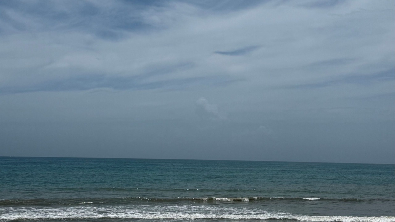 Photo of Others in South Patrick Shores