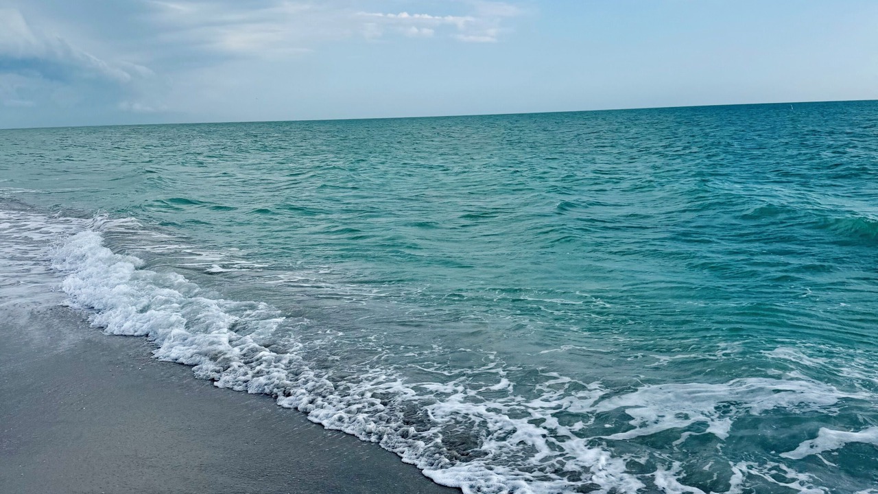 Photo of Others in Port Charlotte