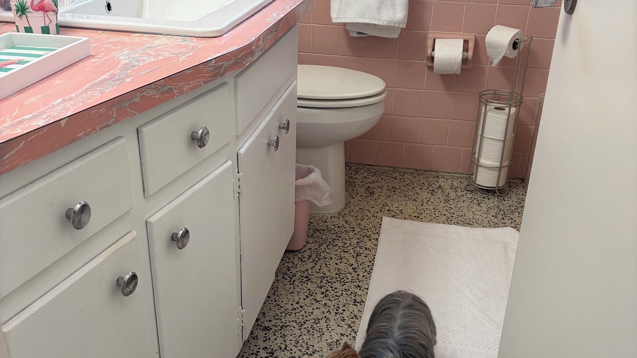 Photo of Bathroom in Port Charlotte