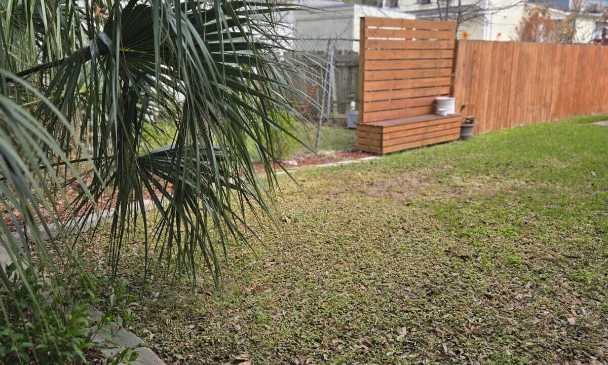 Photo of Outdoor in Tulane - Gravier