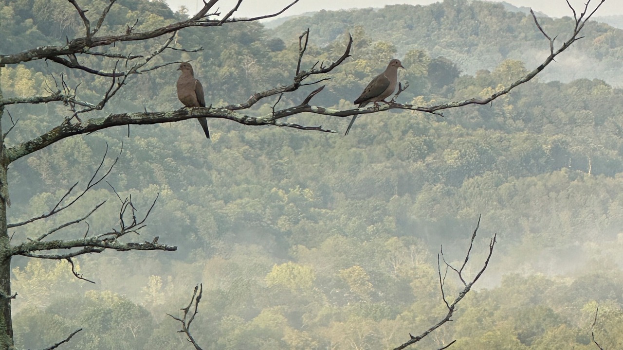 Photo of Others in Eureka Springs