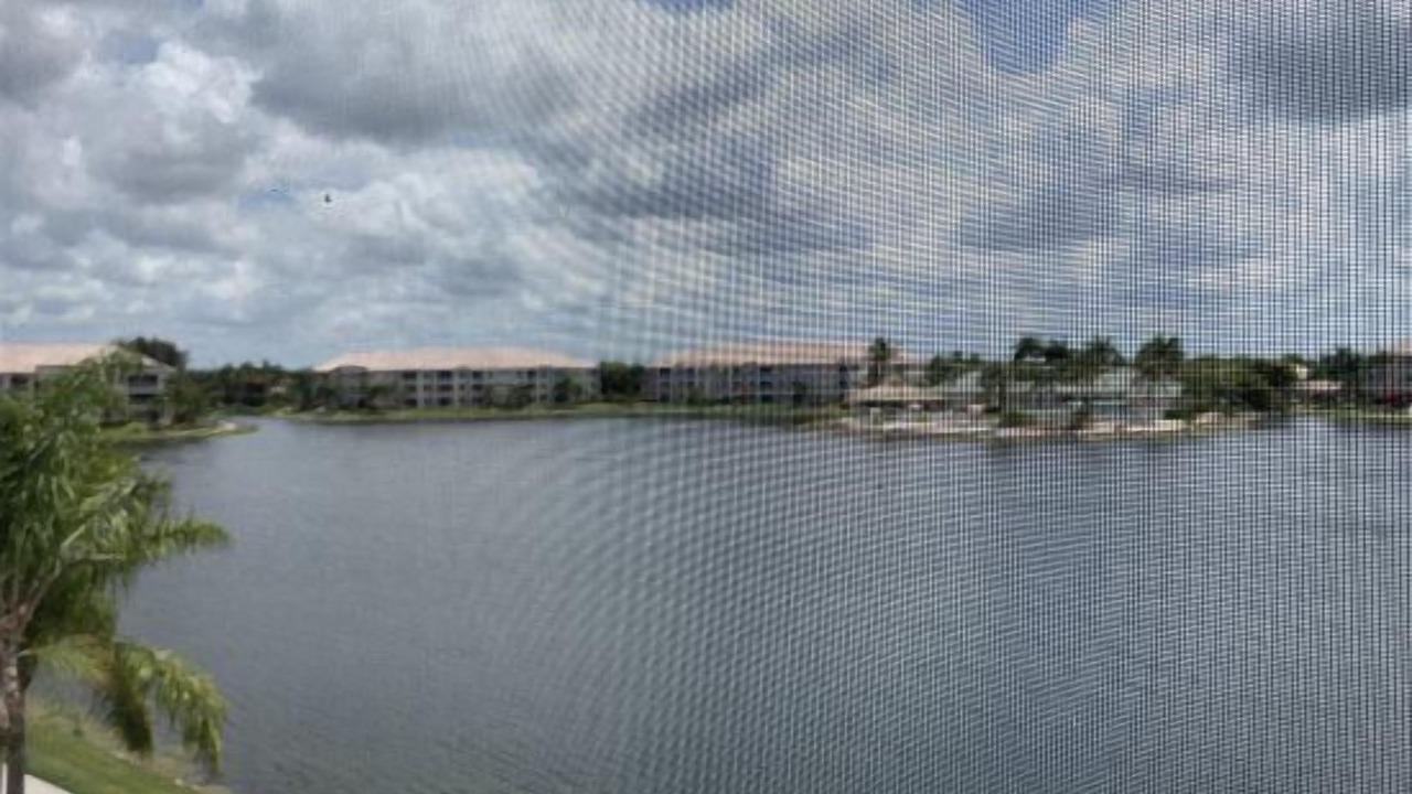 Photo of Others in Tropical Cove