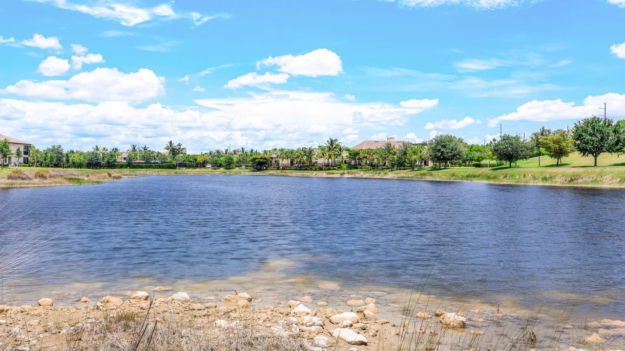 Photo of Others in Tropical Cove