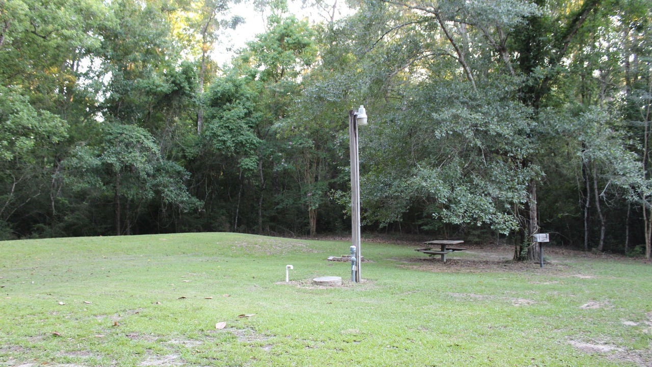 Photo of Outdoor in Saucier