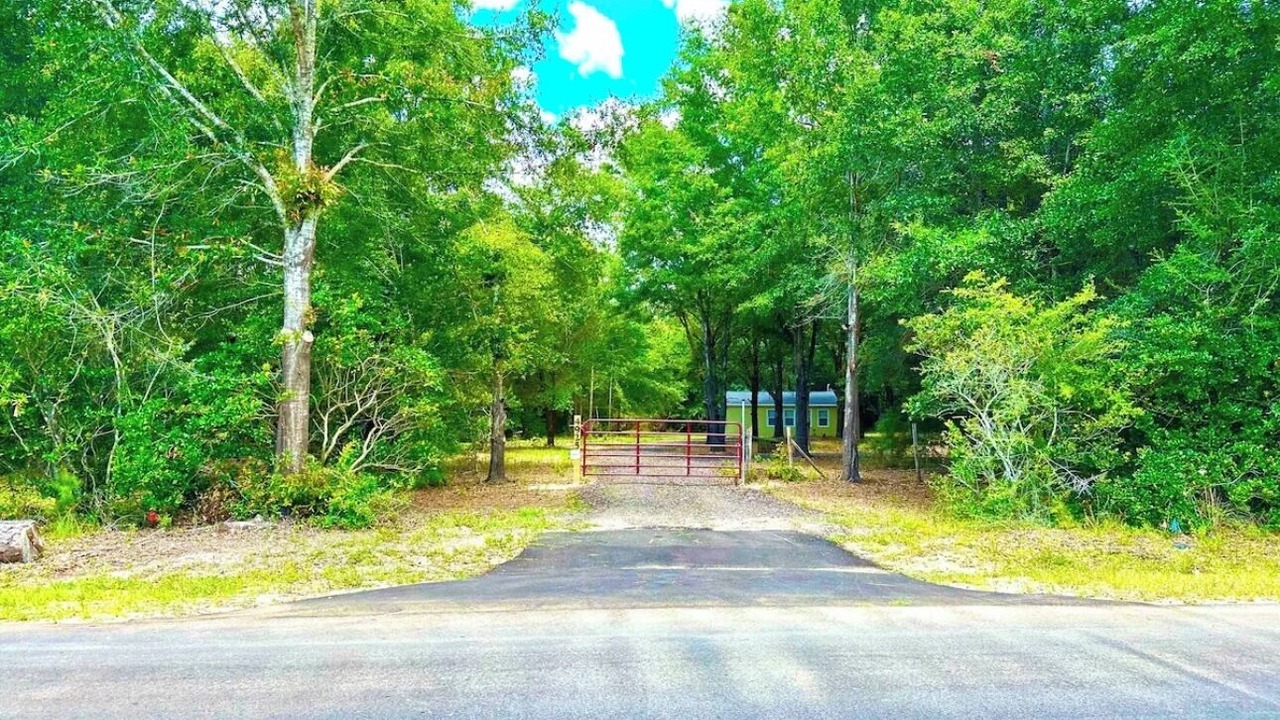 Photo of Others in Harold