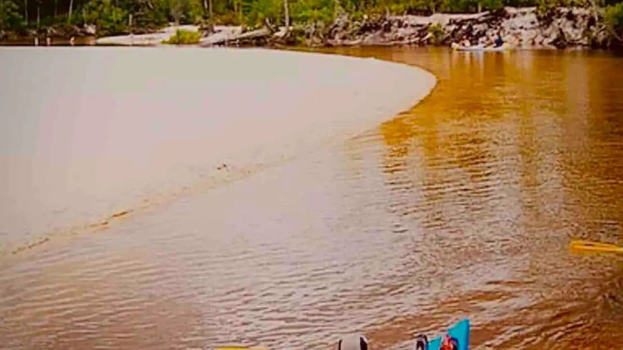 Photo of Others in Harold
