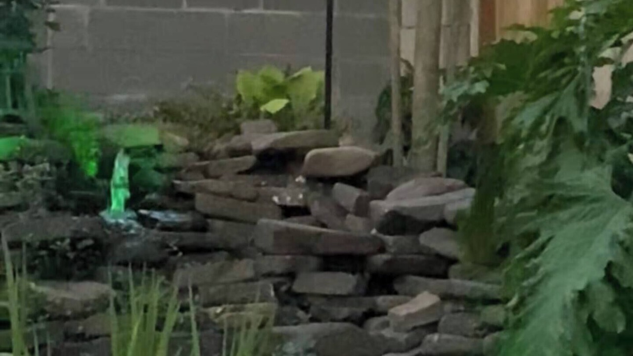 Photo of Outdoor in Mid City South