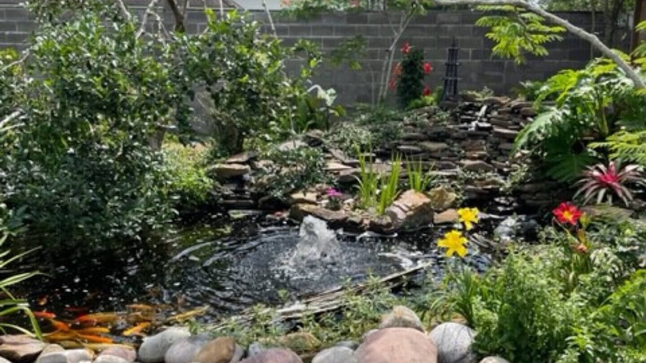 Photo of Outdoor in Mid City South