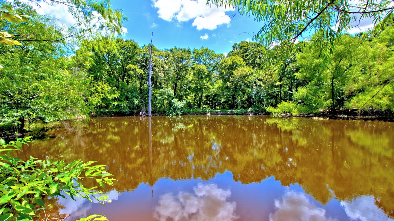 Photo of Outdoor in Wills Point