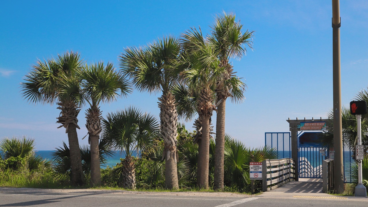 Photo of Others in Bid-a-wee Beach