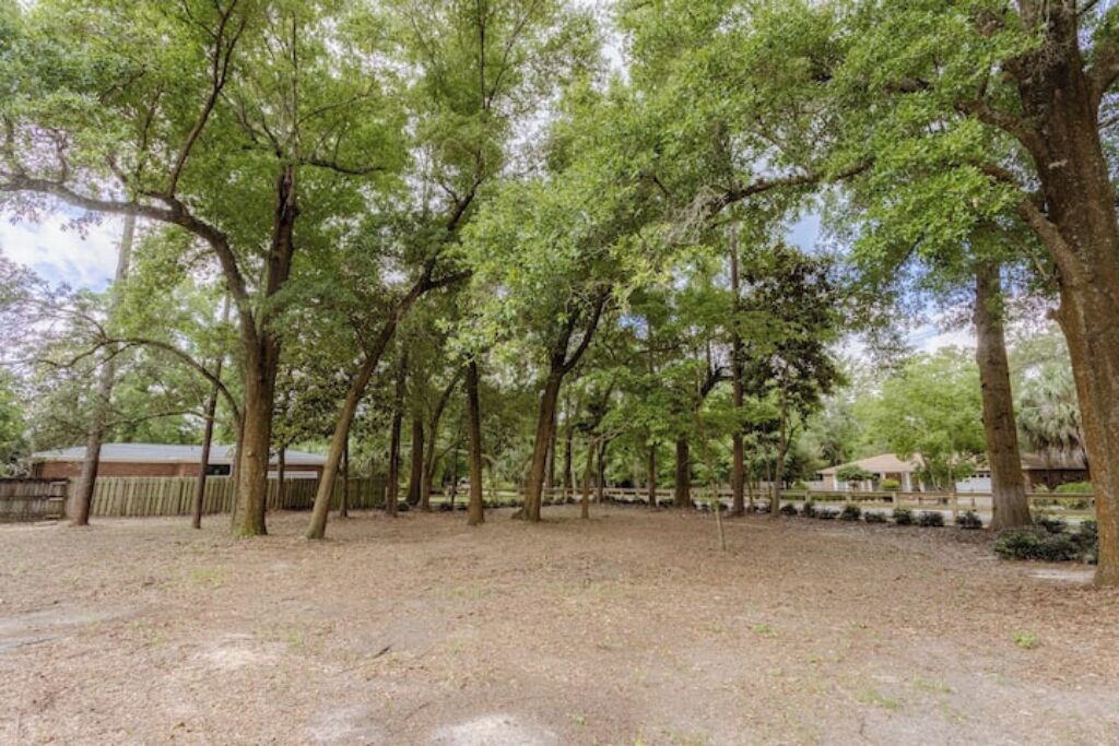 Photo of Outdoor in Southeast Pensacola
