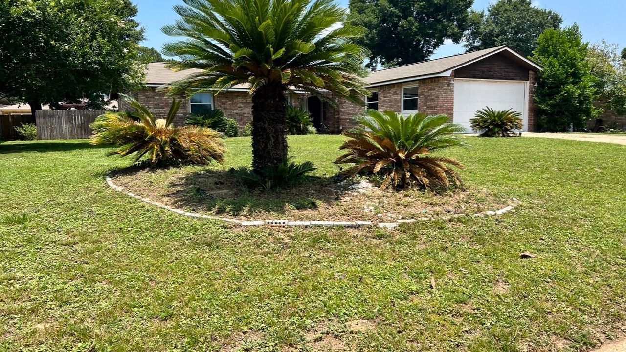 Photo of Outdoor in Northwest Pensacola