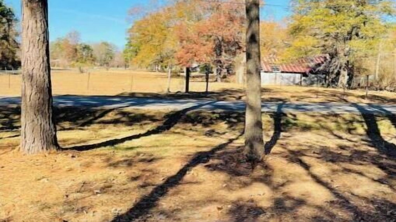 Photo of Outdoor in Bastrop