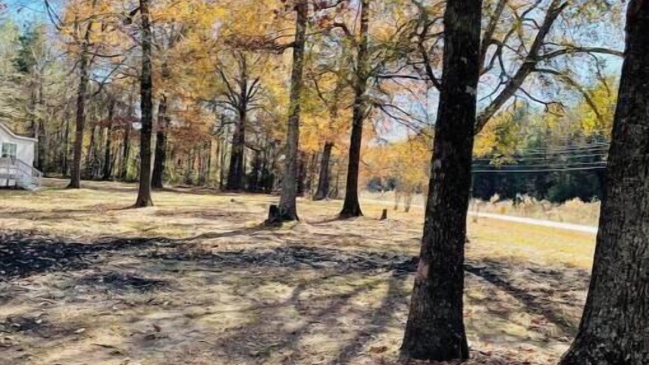 Photo of Outdoor in Bastrop