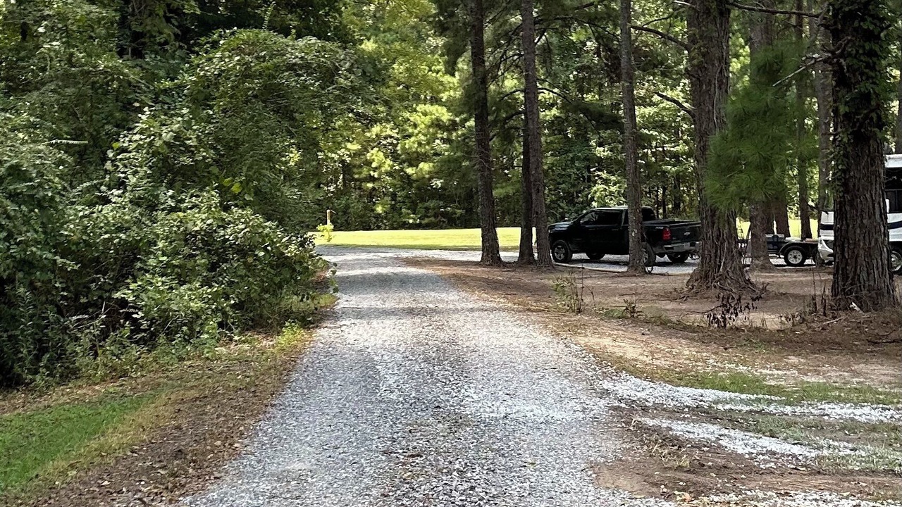 Photo of Outdoor in Petal