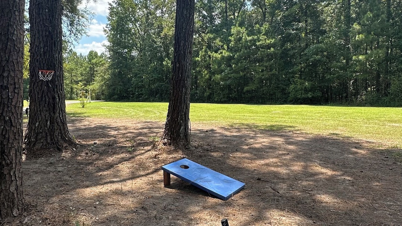 Photo of Outdoor in Petal