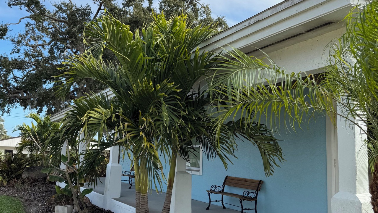 Photo of Outdoor in Edgewater