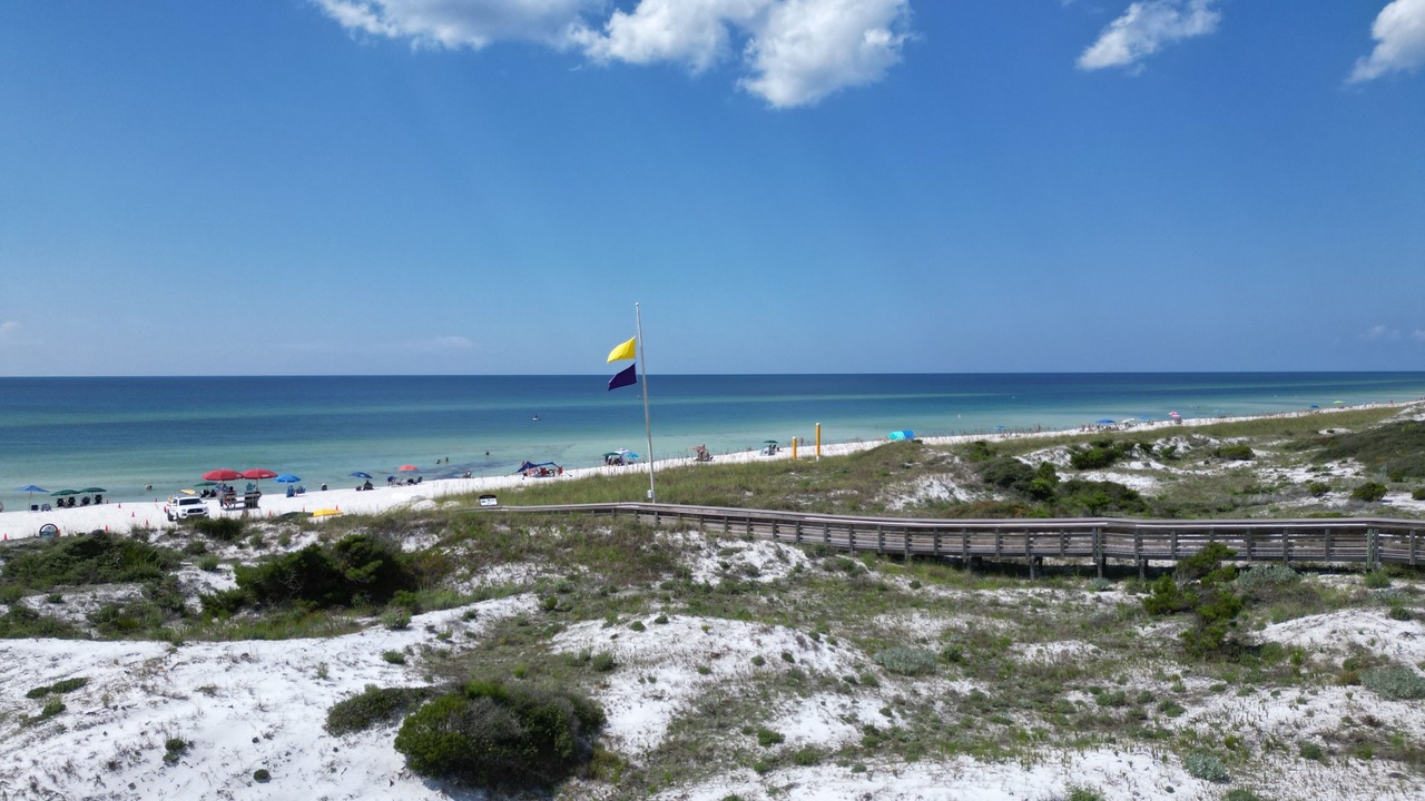 Photo of Others in Inlet Beach