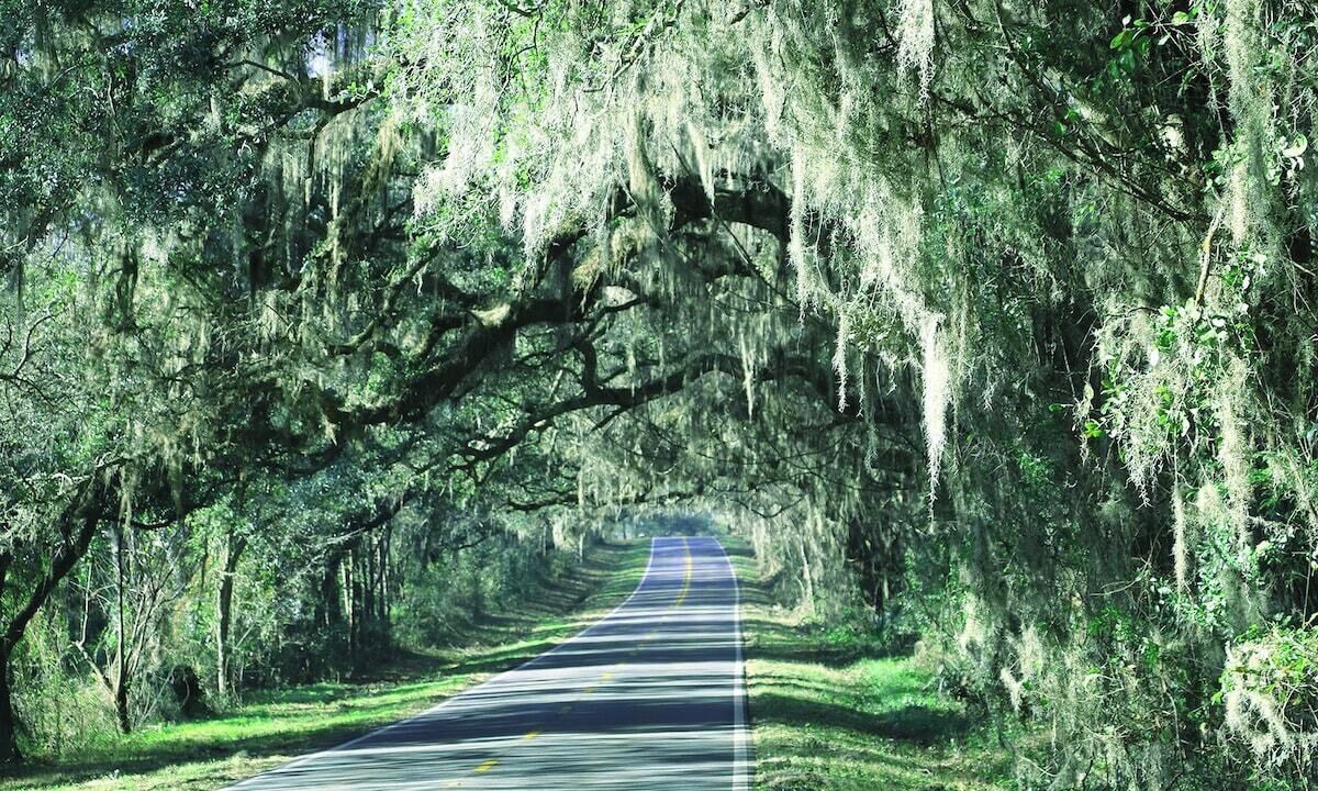 Photo of Others in Tallahassee