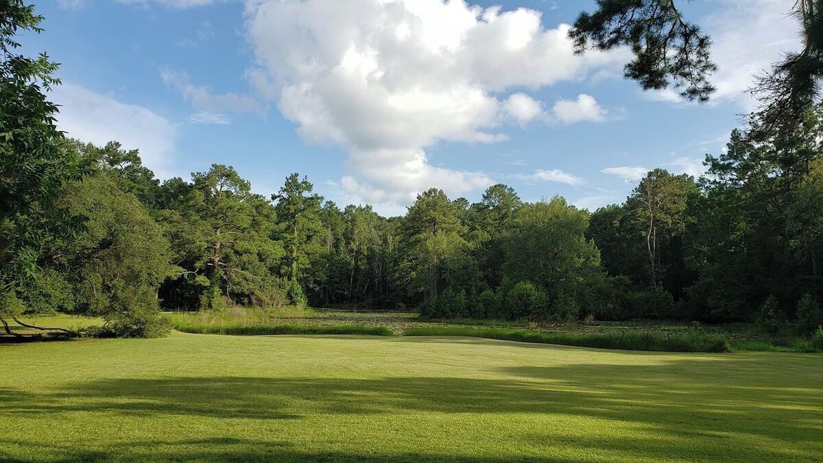 Photo of Others in Tallahassee