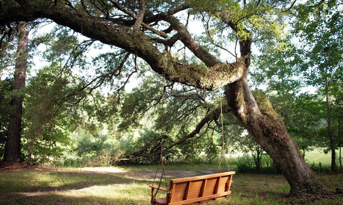 Photo of Others in Tallahassee