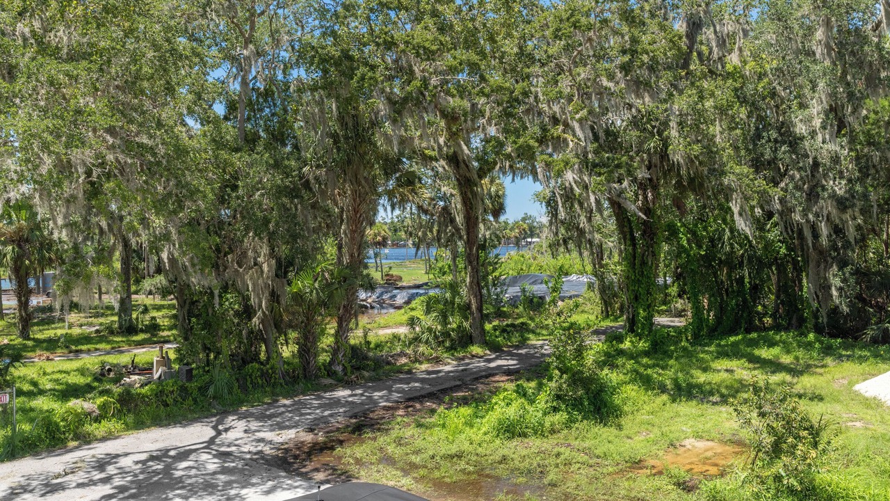 Photo of Others in Homosassa