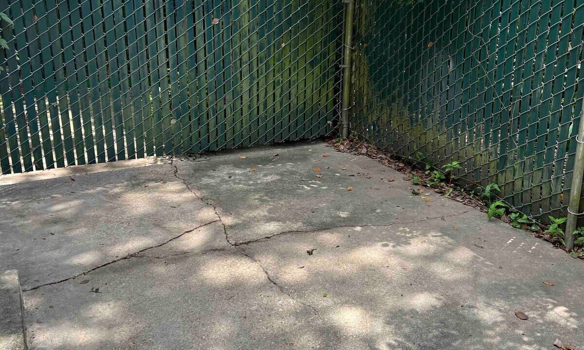 Photo of Outdoor in Mid City South
