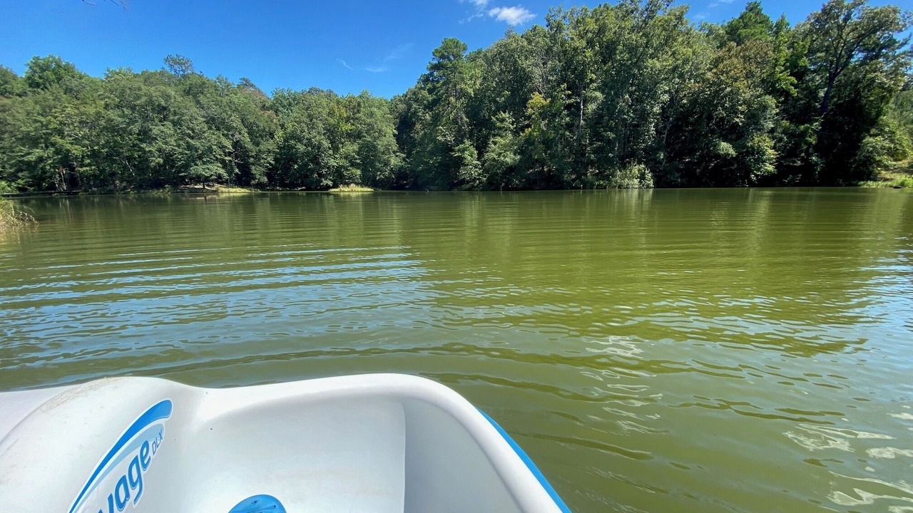 Photo of Outdoor in Jack