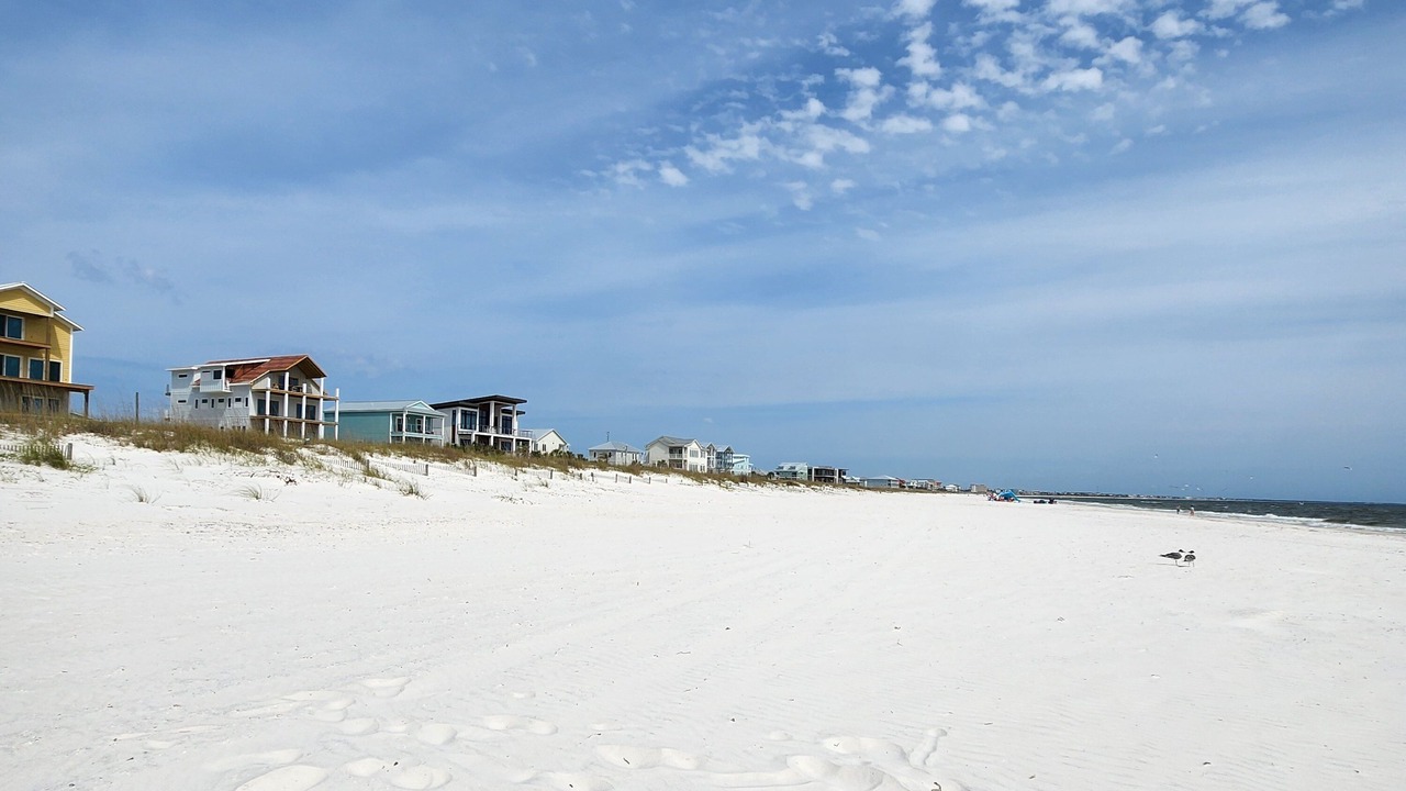 Photo of Others in Mexico Beach