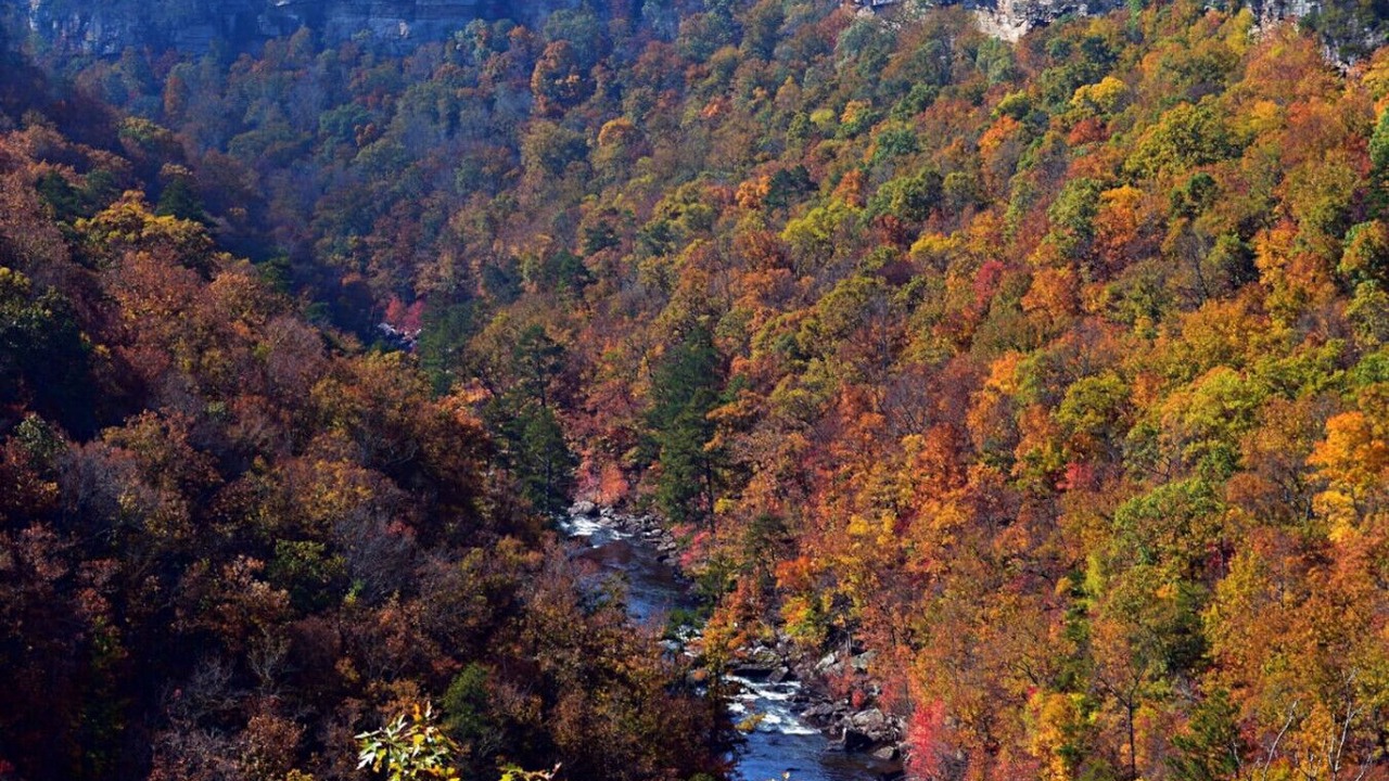 Photo of Others in Fort Payne