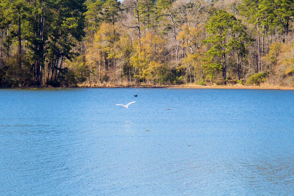 Photo of Others in Sulphur