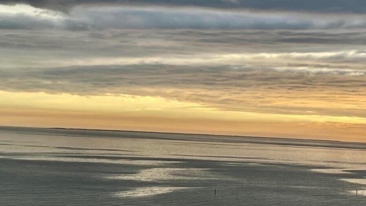 Photo of Others in Gulfport