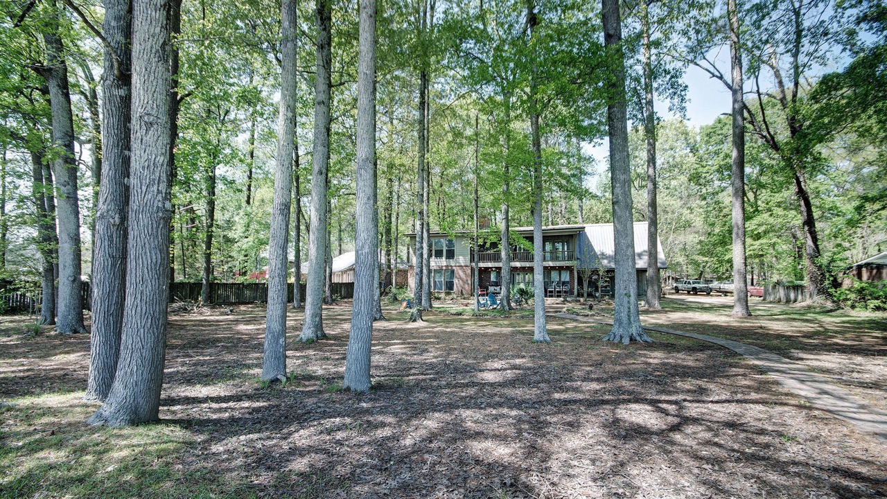 Photo of Outdoor in Flowood