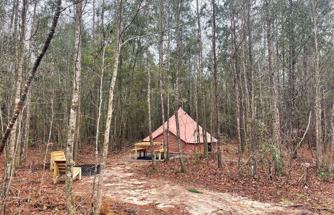 Photo of Outdoor in Tallahassee