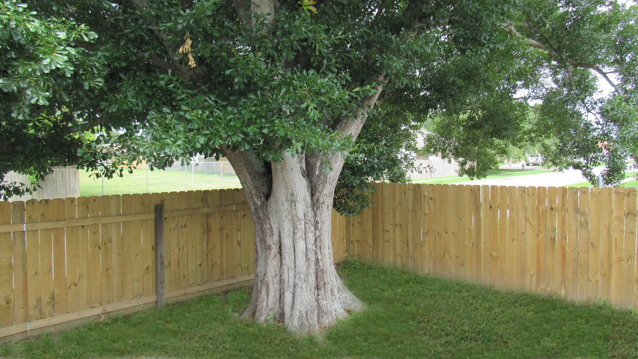 Photo of Outdoor in Harvey