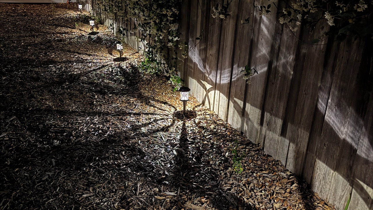 Photo of Outdoor in Mount Dora