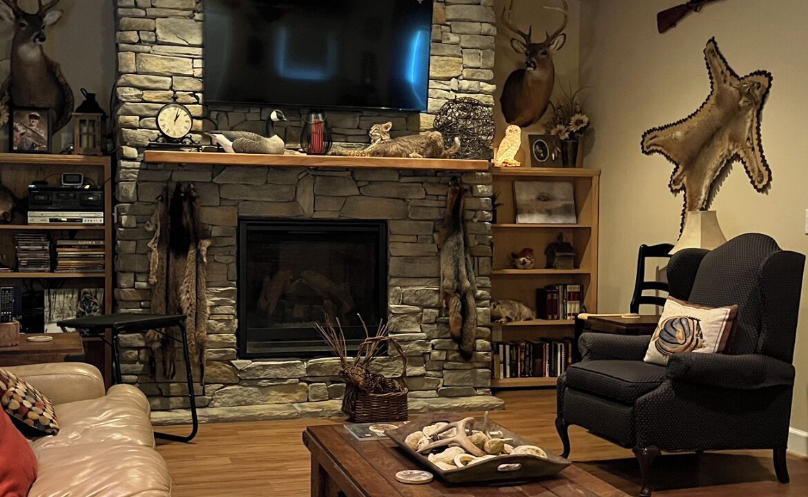 Photo of Livingroom in Minter
