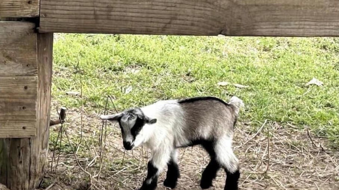 Photo of Others in Loxley