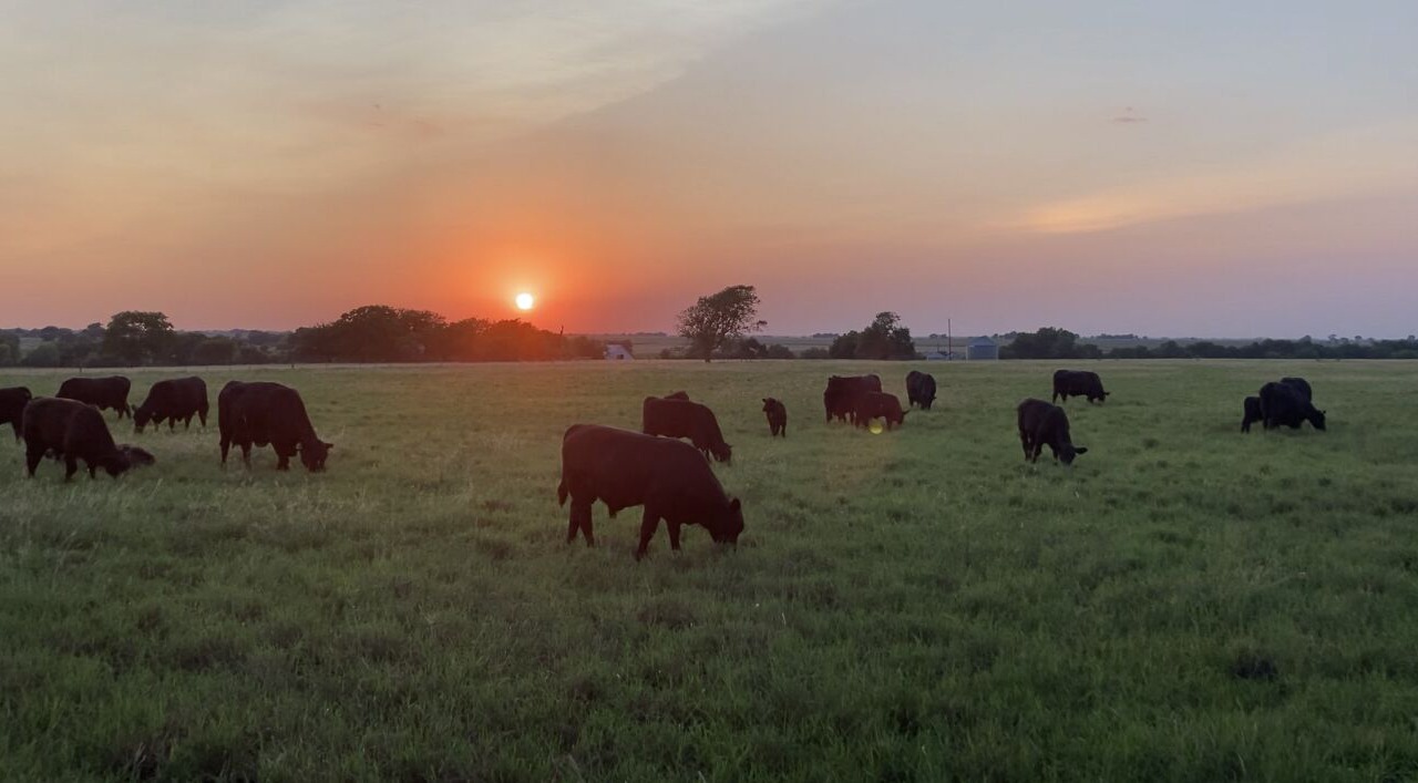 Photo of Others in McGregor