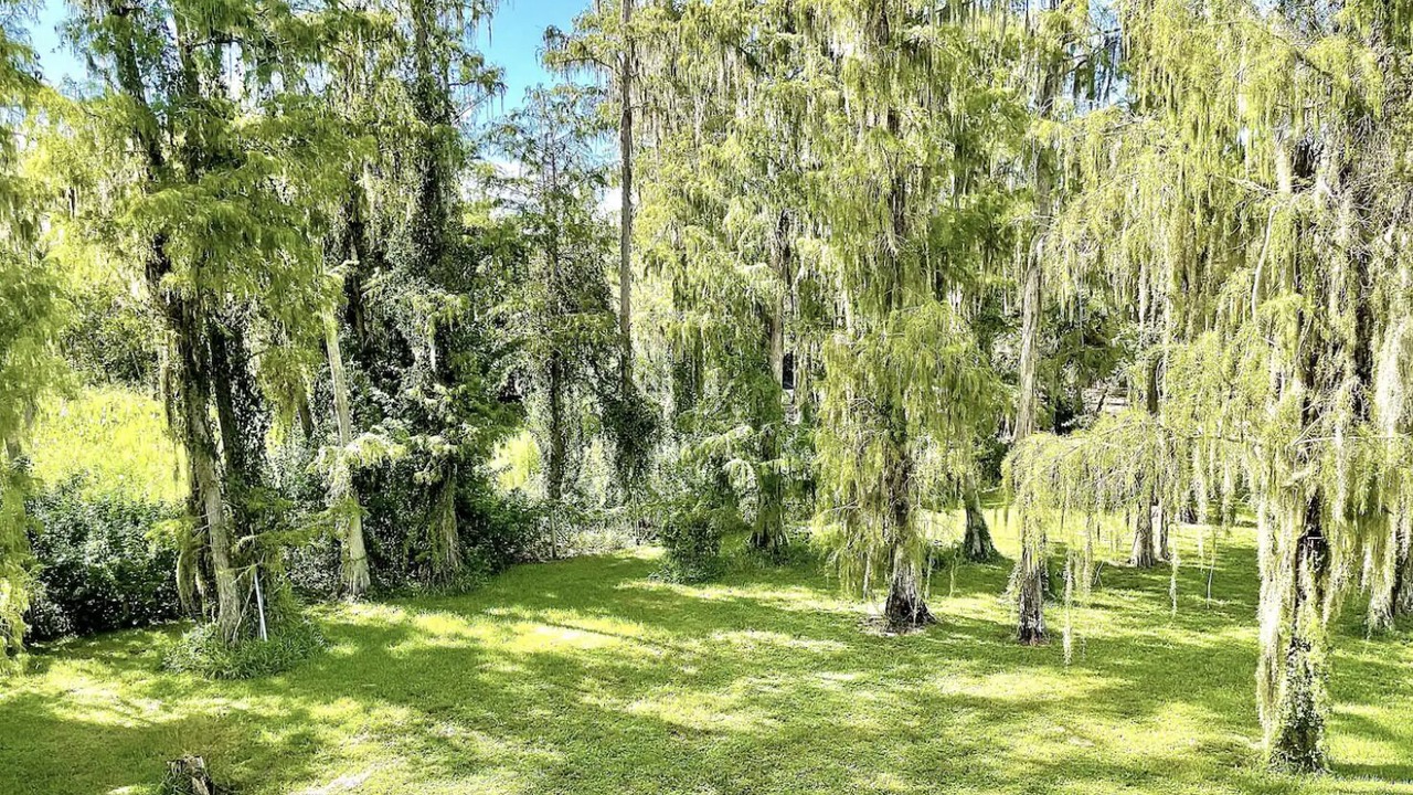 Photo of Outdoor in Clewiston