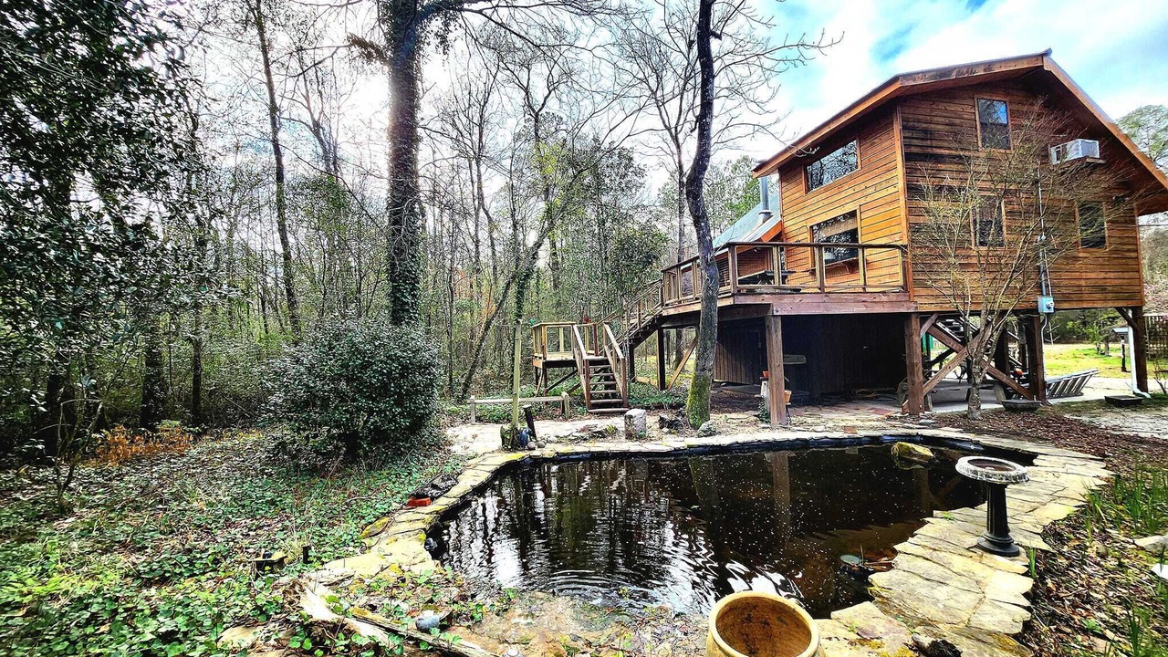 Photo of Outdoor in Bush