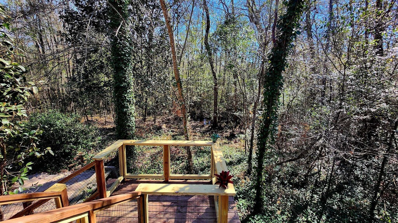 Photo of Outdoor in Bush