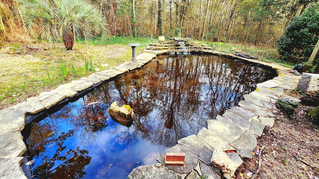 Photo of Outdoor in Bush