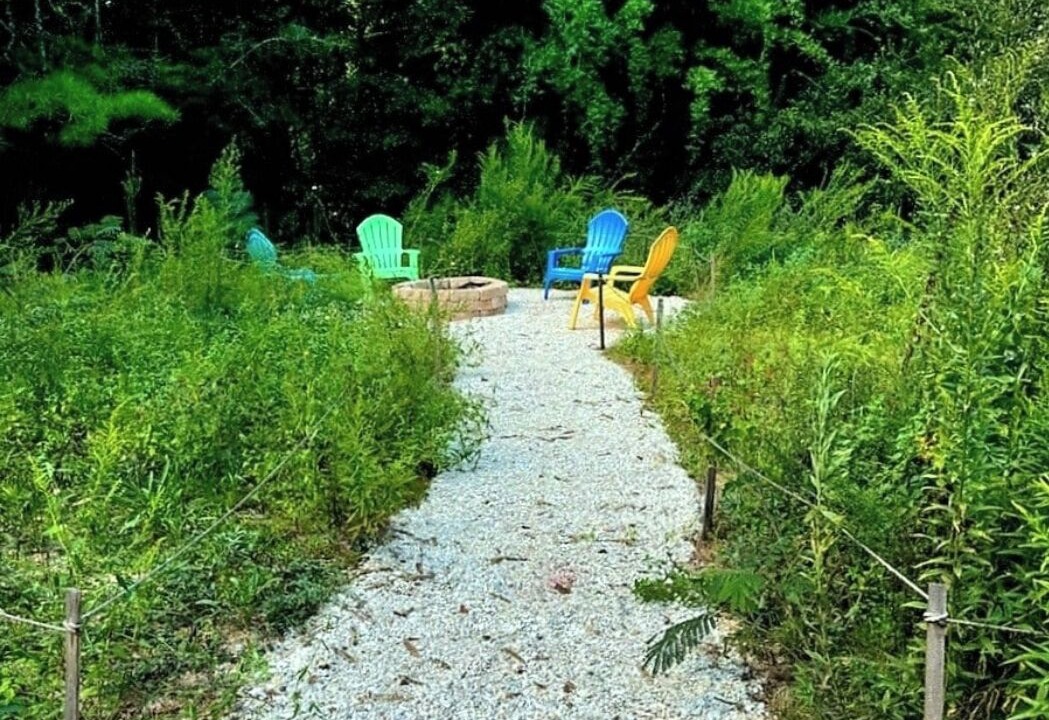 Photo of Outdoor in Bush