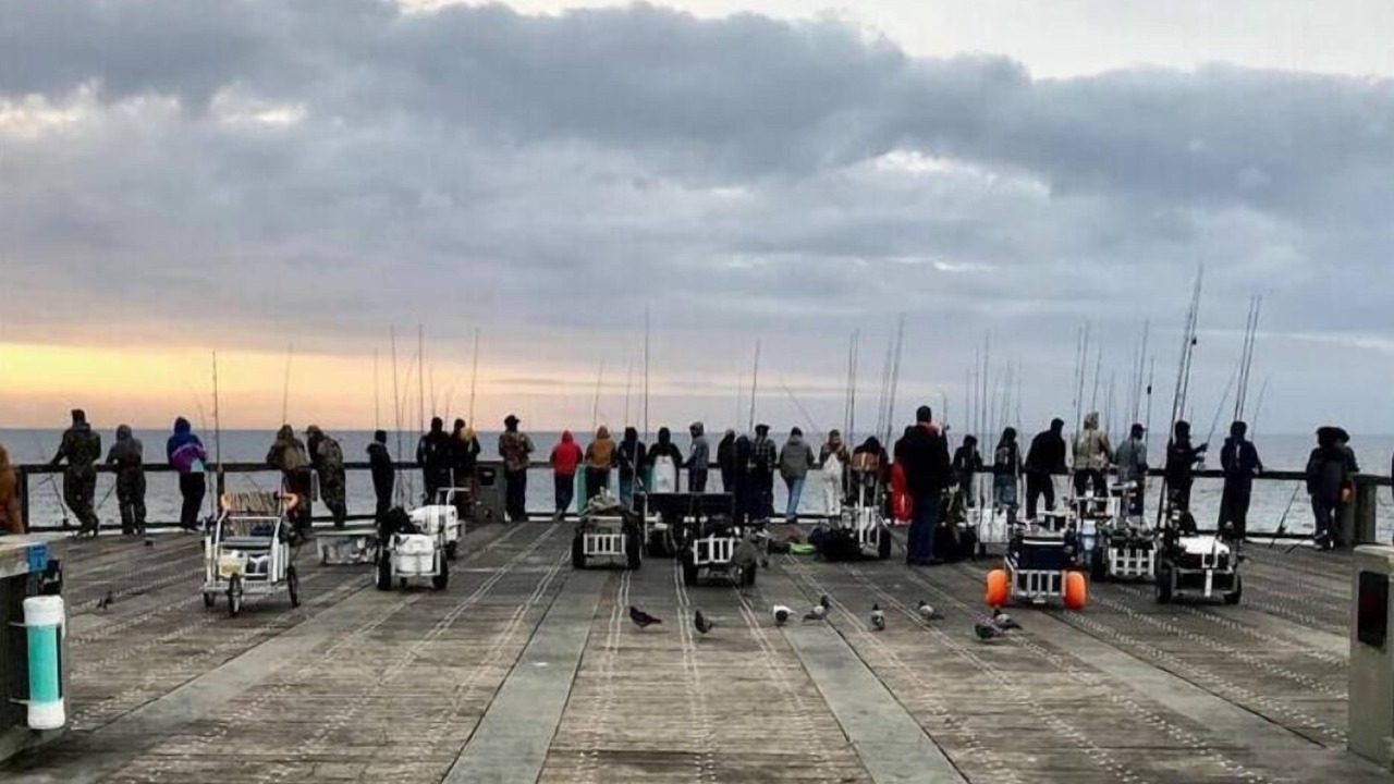 Photo of Others in Gulf Breeze
