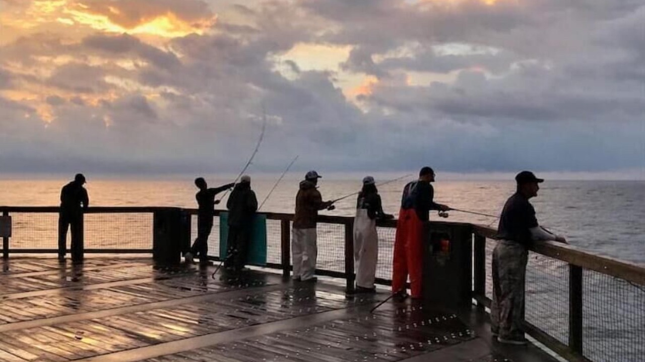 Photo of Others in Gulf Breeze