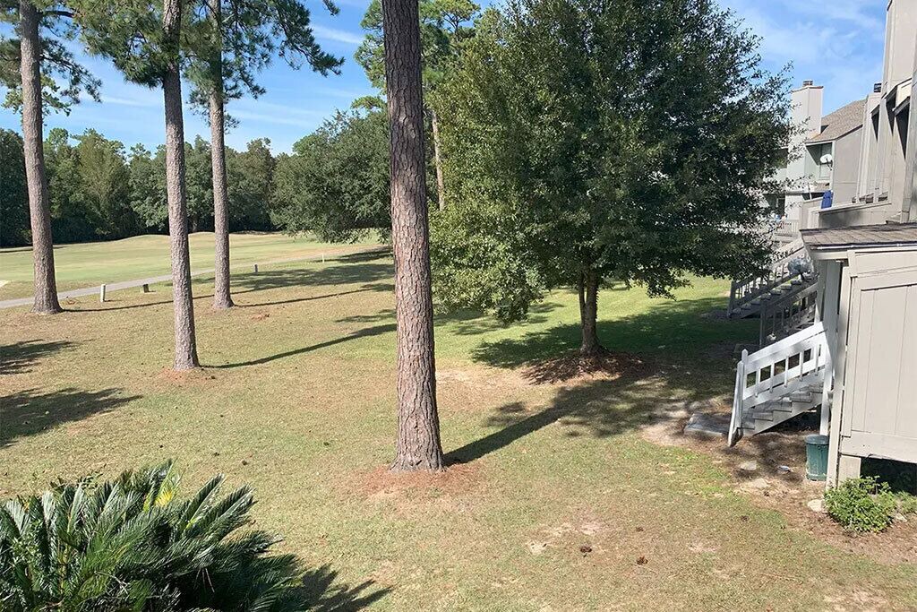 Photo of Outdoor in Diamondhead