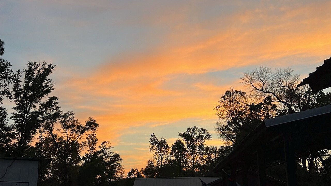 Photo of Outdoor in Clarksville