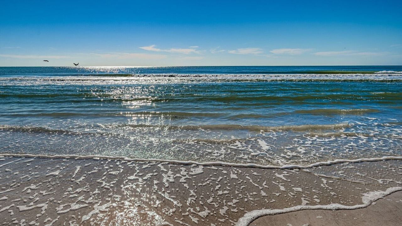 Photo of Others in Aloha Kai