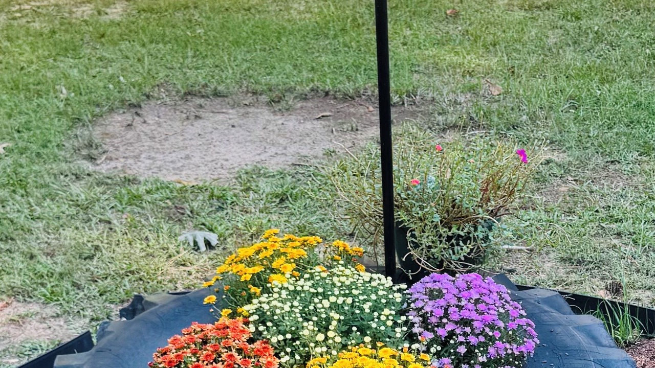 Photo of Outdoor in Shannon